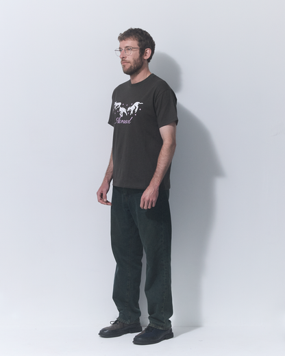 Aerosol Skateboards Frolic Tee Grey