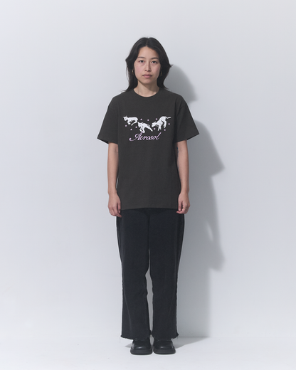 Aerosol Skateboards Frolic Tee Grey