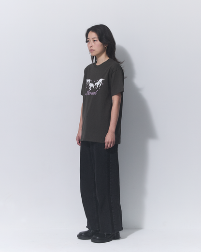 Aerosol Skateboards Frolic Tee Grey
