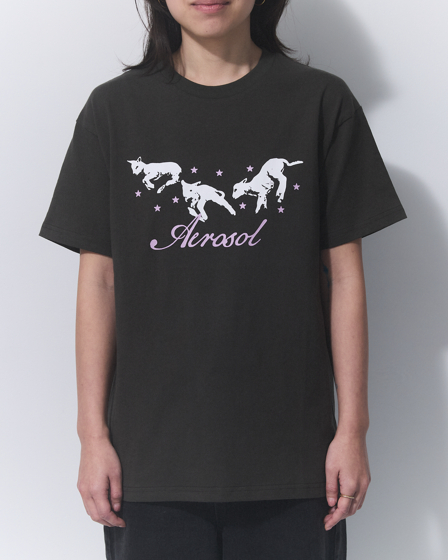 Aerosol Skateboards Frolic Tee Grey