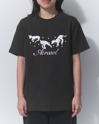 Aerosol Skateboards Frolic Tee Grey