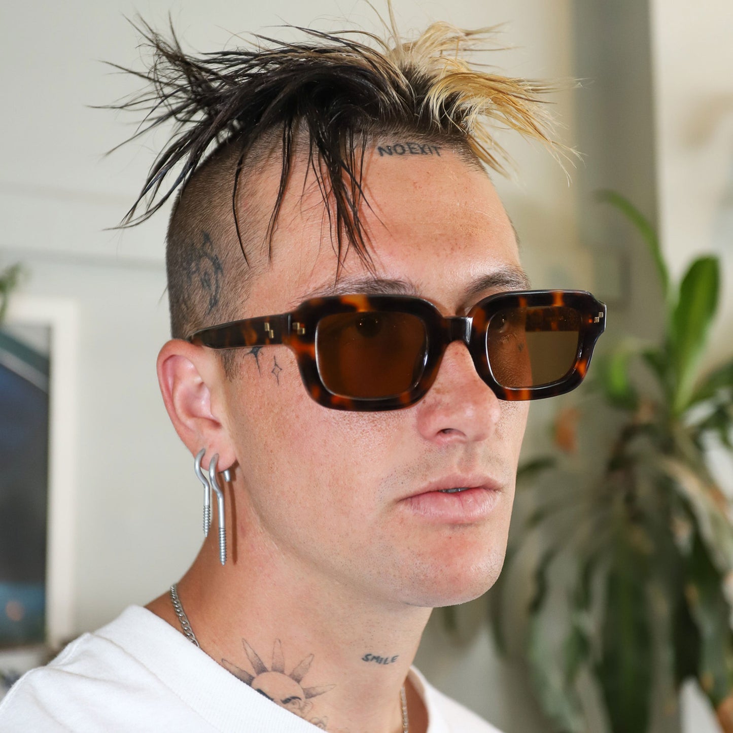 Radio Eyewear The Love Doctor Sunglasses - Tortoise / Brown
