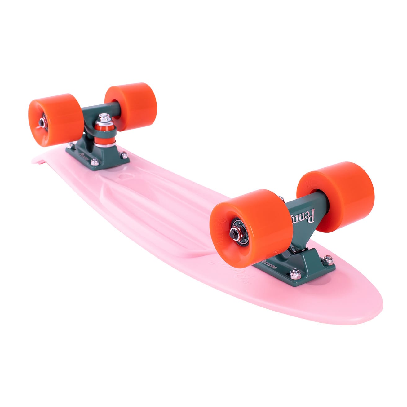 Penny Skateboards Cactus Wanderlust 22"
