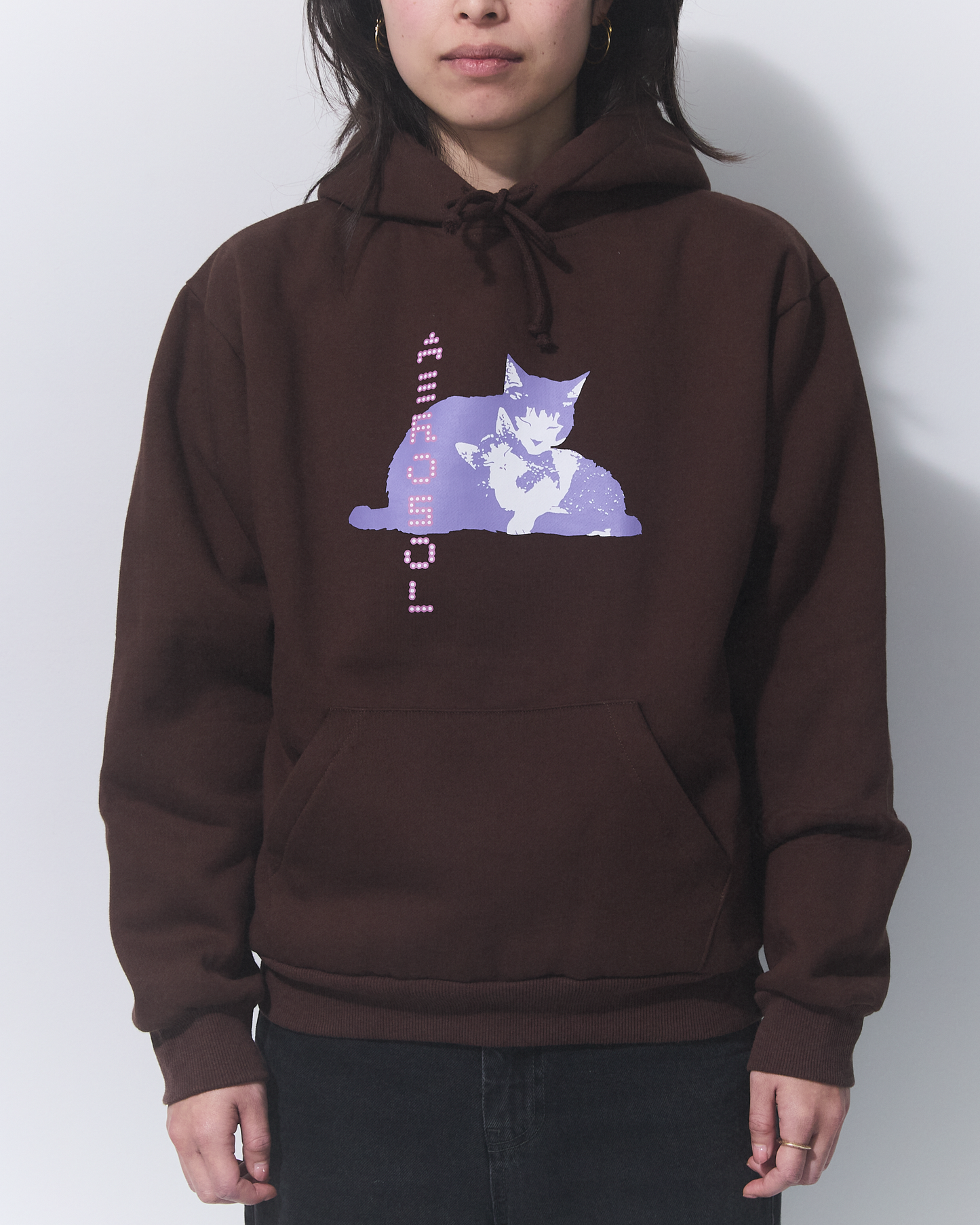 Aerosol Skateboards Tibbles Hoodie Brown