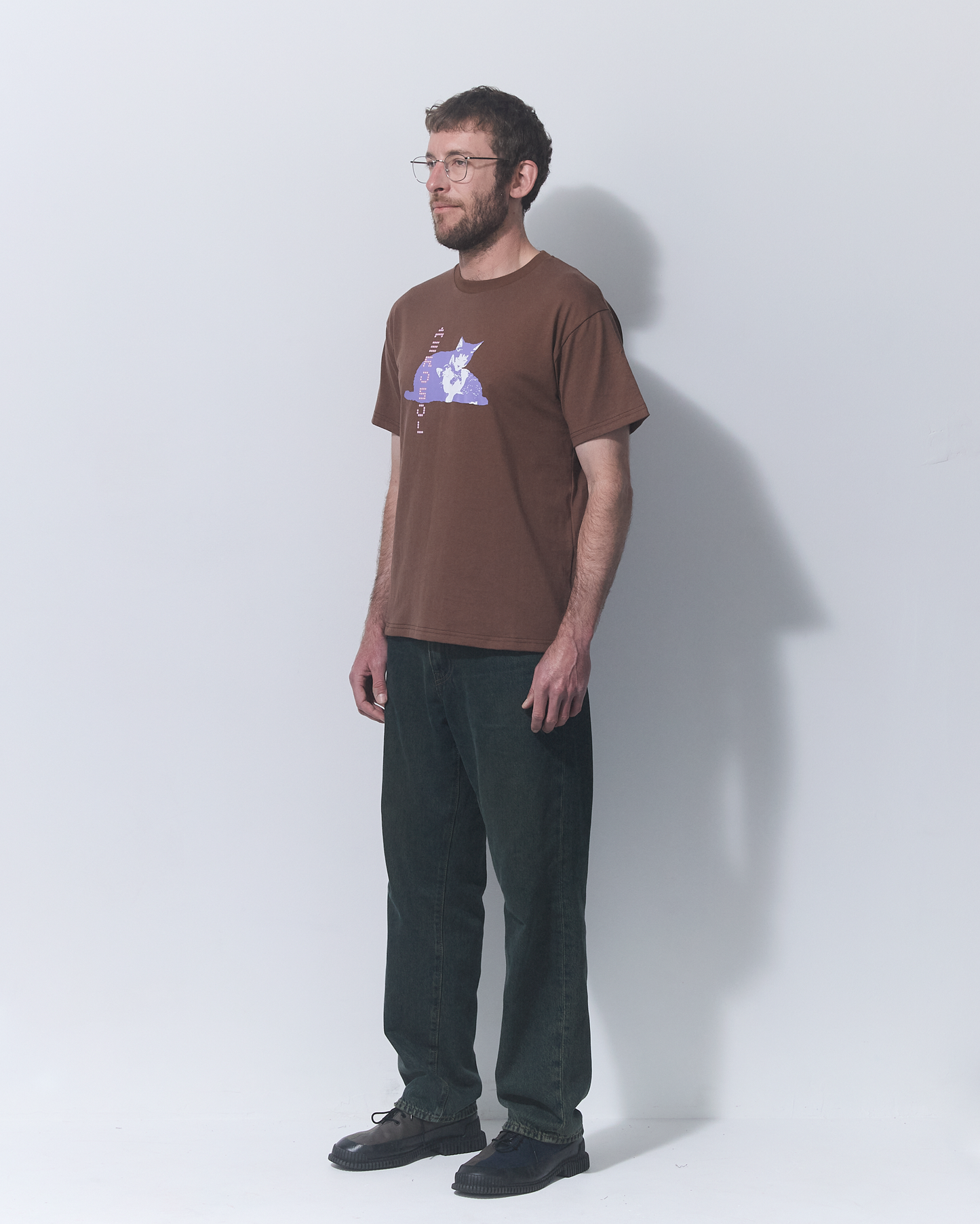 Aerosol Skateboards Tibbles Tee Brown