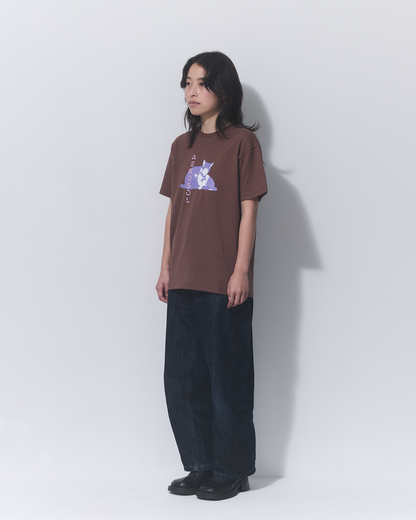 Aerosol Skateboards Tibbles Tee Brown