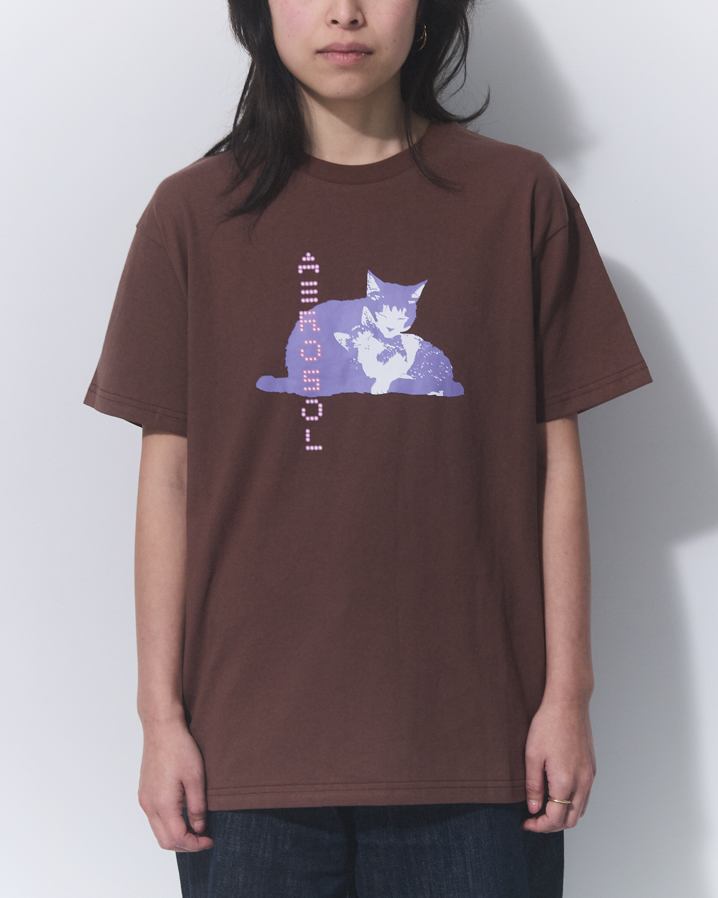 Aerosol Skateboards Tibbles Tee Brown