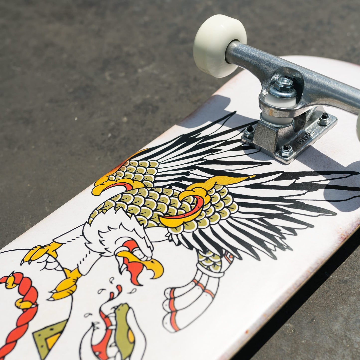 Z-Flex Skateboards Eagle 8.25