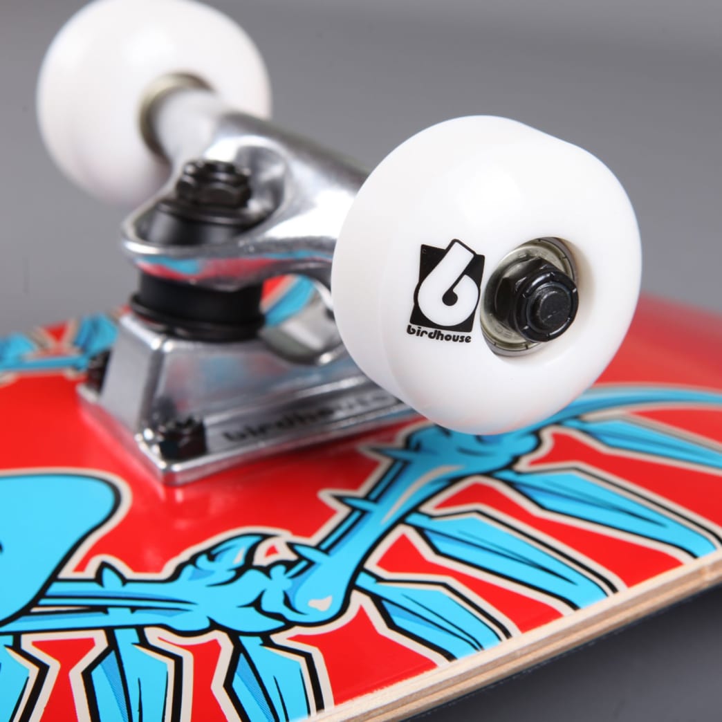 Birdhouse Complete Tony Hawk Falcon Egg 7.75"