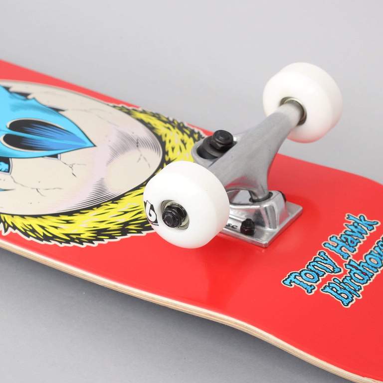 Birdhouse Complete Tony Hawk Falcon Egg 7.75"
