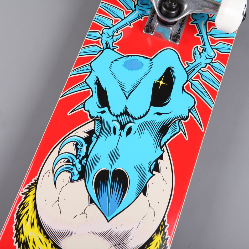 Birdhouse Complete Tony Hawk Falcon Egg 7.75"