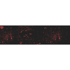 Fruity Griptape 9X33 Blood Splatter Single Sheet Skateboard Deck Griptape