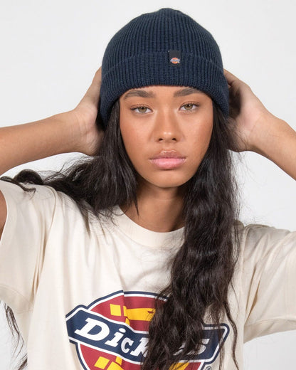 Dickies Beanie Seattle Black Basic Cuff Skateboard Hat
