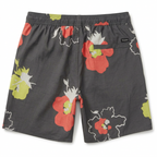 Brixton Boardshorts