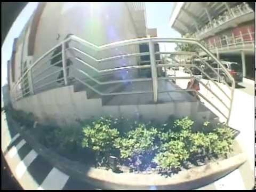 Trophy Room Skateboard DVD