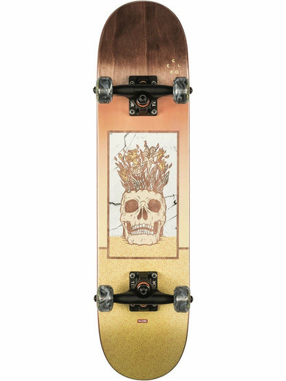 Globe Complete Skateboard Celestial Growth Mini Brown 7"