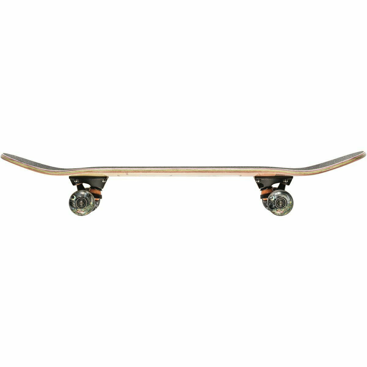 Globe Complete Skateboard Celestial Growth Mini Brown 7"