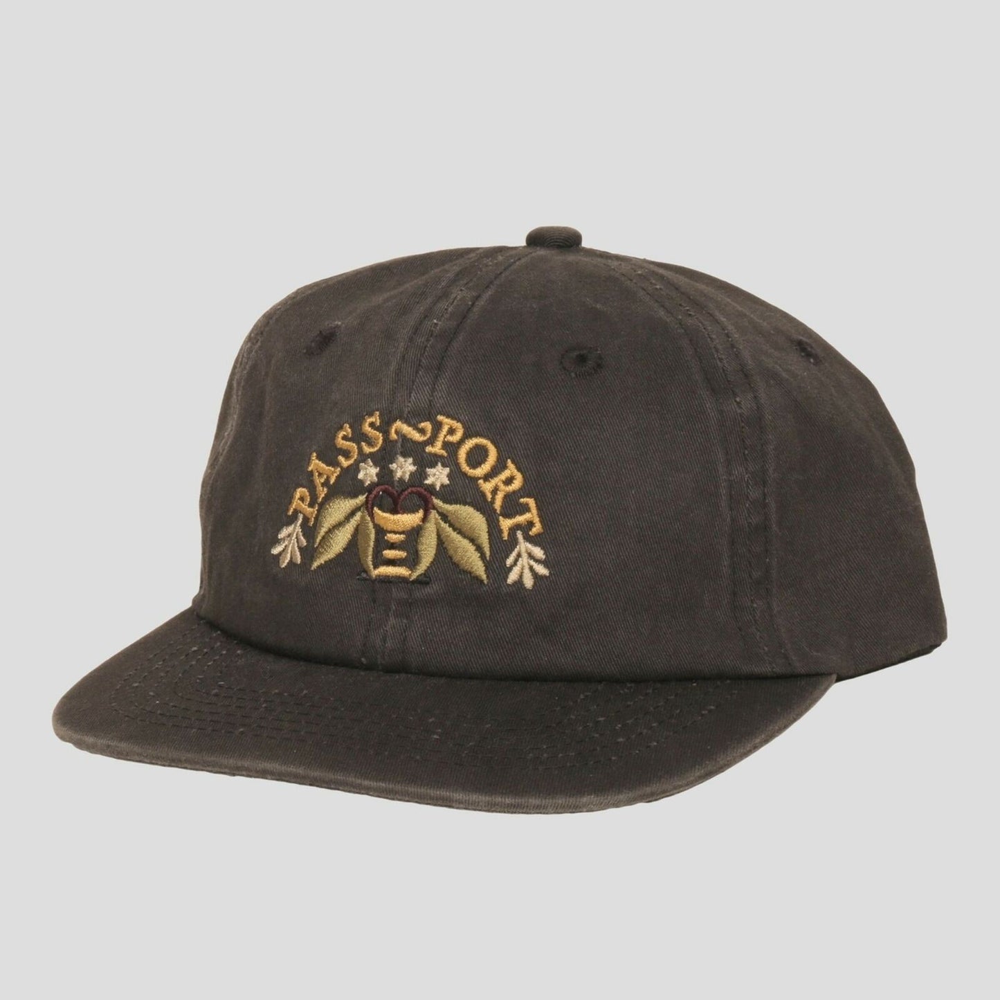 Passport Cap ARCHED EMBROIDERY Black 6 Panel StrapBack Pass port Skateboard Hat