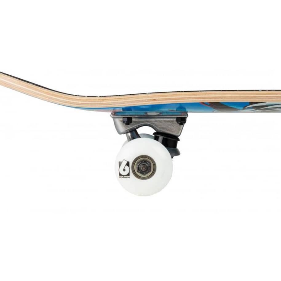 Birdhouse Skateboard Complete Tony Hawk Spiral Blue 7.75"