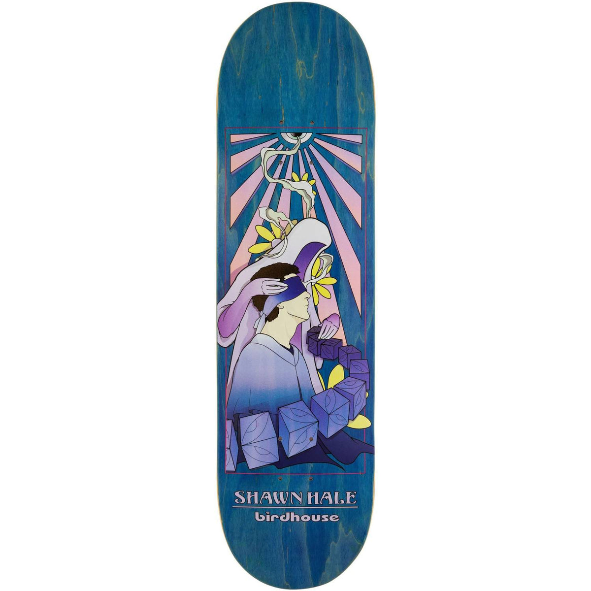 Birdhouse Skateboard Deck Hale Soul Guide 8 5