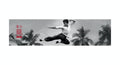 Dgk Griptape X Bruce Lee Paradise Full Skateboard Deck Length Grip