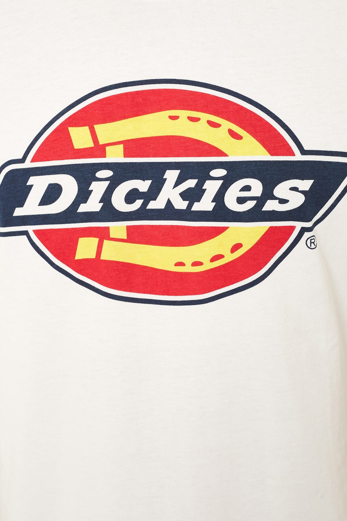 Dickies Tee HS Colour White Regular Fit Crew Neck Skateboard T-Shirt