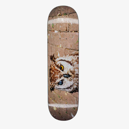 FA Skateboard Deck Owl Photo Jason Dill 8.38" Fkn Awesome