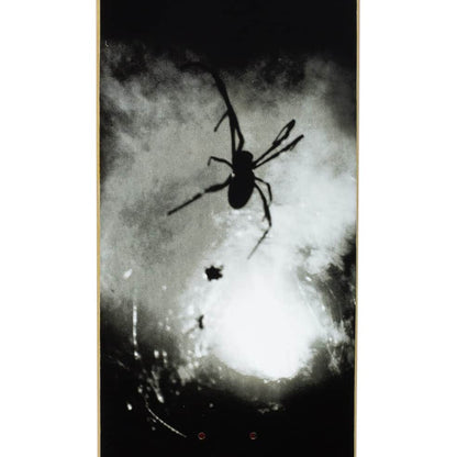 FA Skateboard Deck Spider Photo 8.25" Fucking Awesome