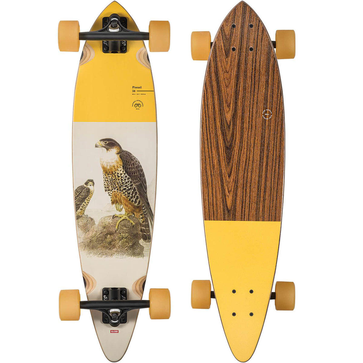 Globe Complete Skateboard Falcon Pintail 34 Longboard