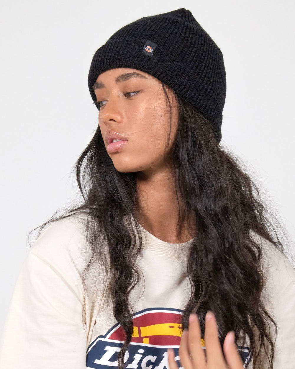 Dickies Beanie Seattle Black Basic Cuff Skateboard Hat