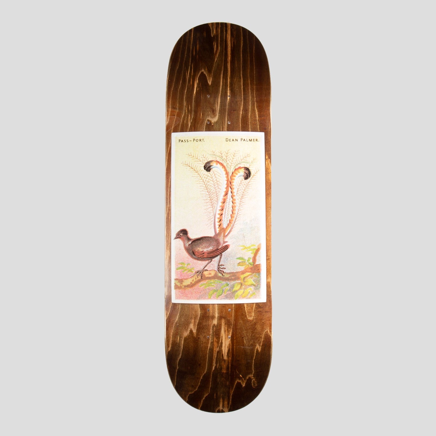 Passport Skateboard Deck Dean Palmer Lyrebird 8.38" Pass Port