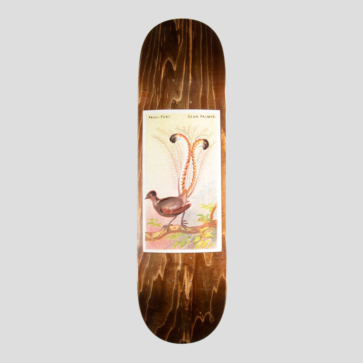 Passport Skateboard Deck Dean Palmer Lyrebird 8 38 Pass Port