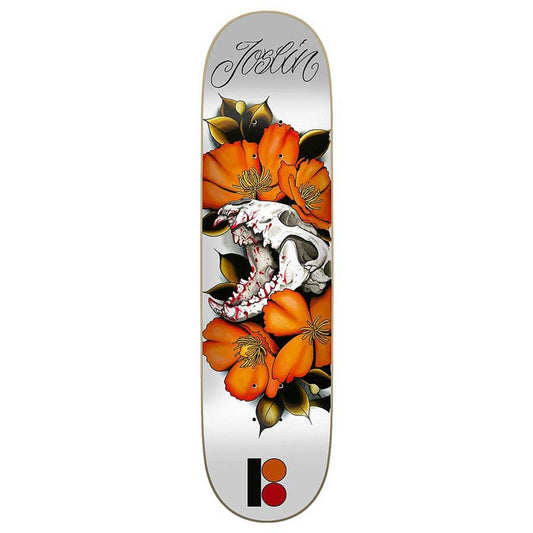 Plan B Skateboard Deck Chris Joslin Cranial 8.25"