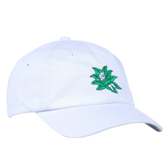 RIPnDIP Cap Tucked In White 6 Panel StrapBack Rip N Dip Skateboard Hat