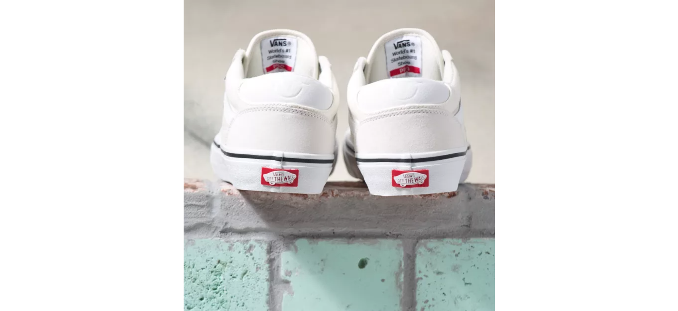 Vans Shoes Rowan Pro Marshmallow White US SIZE Skateboard Sneakers