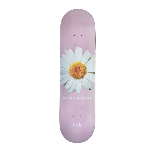 Visit Skateboard Deck Daisy Ryan Gallant 8.25"